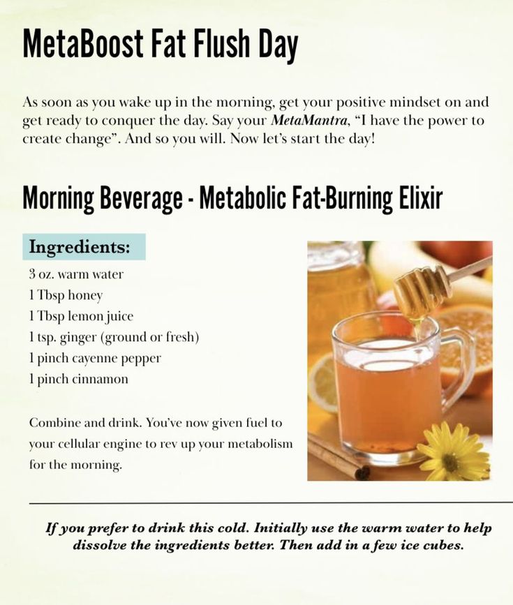 Metaboost Diet Plan Diagram