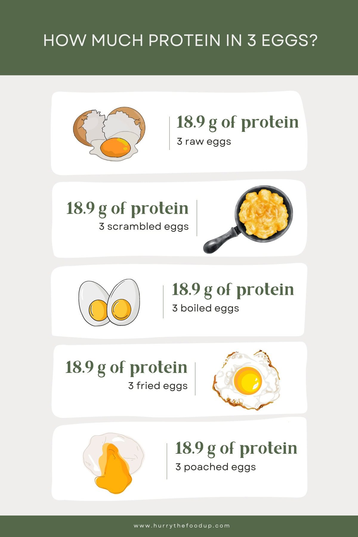 Protein in 3 Eggs