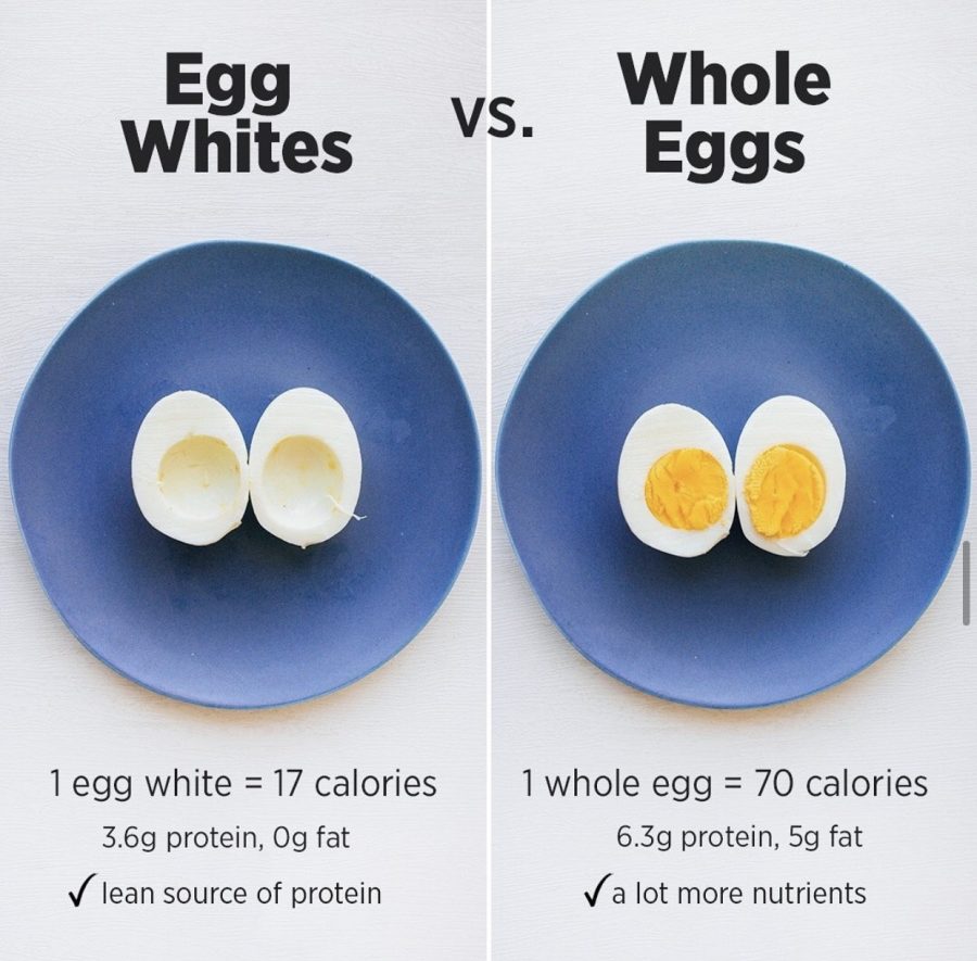 Eggs Protein Value